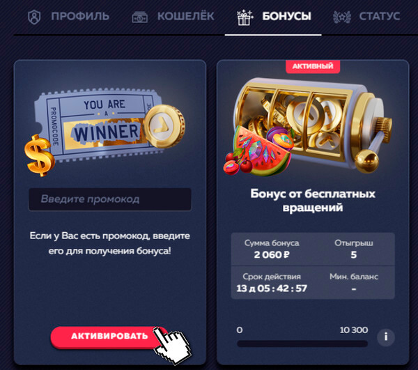Бонусы Vavada